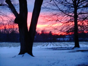 March2015CardinalsSnow 019